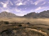 MojaveWasteland2.jpg
